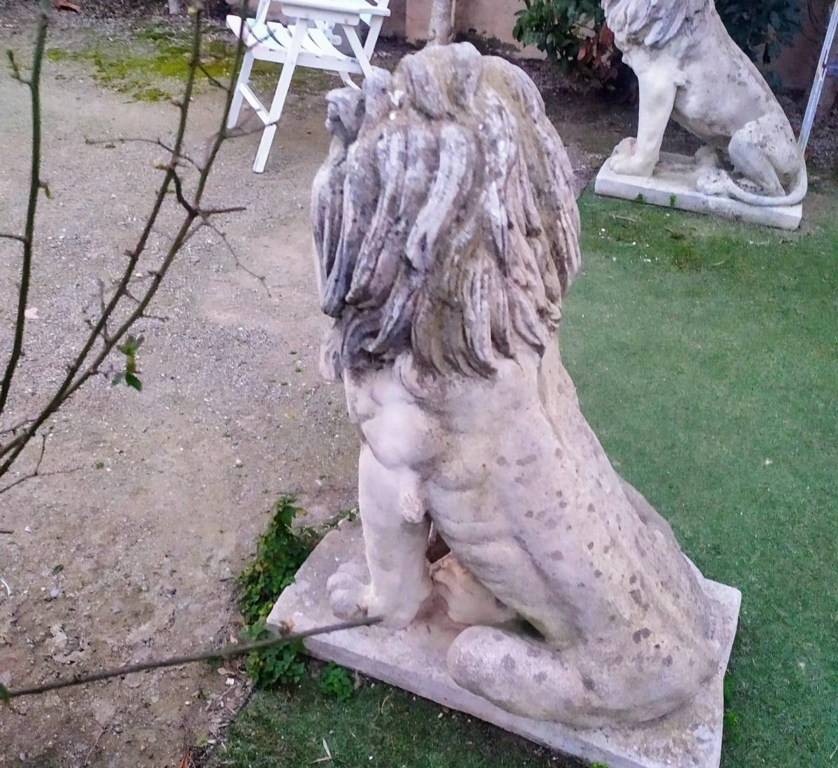 IMG_20250221_183527~2